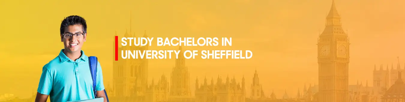 Studer bachelorer ved University of Sheffield