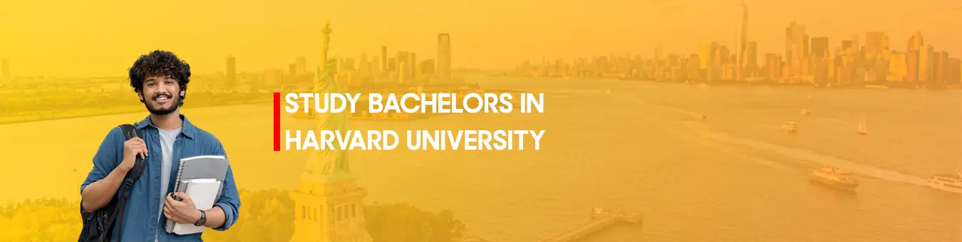study  Bachelors in Harvard University