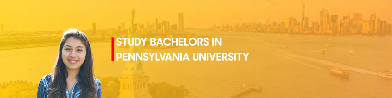 Bachelor studeren aan de Universiteit van Pennsylvania