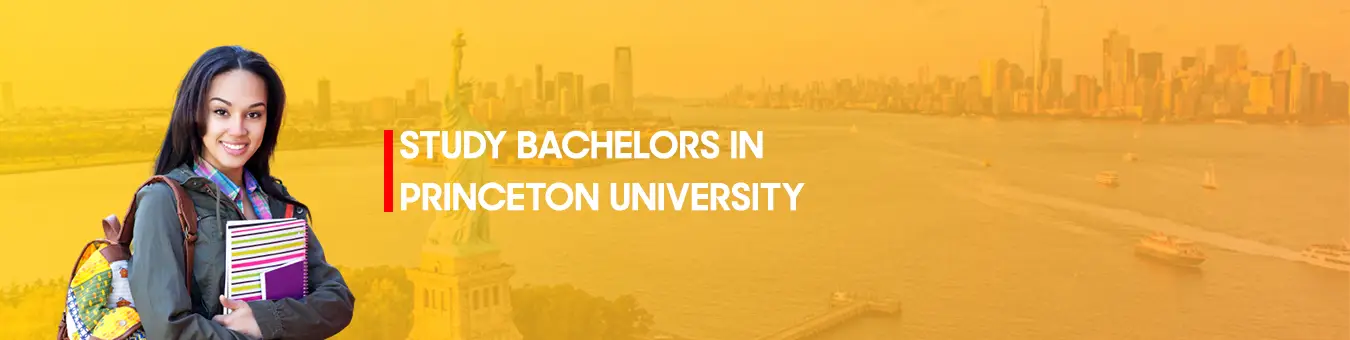 study  Bachelors in Princeton University