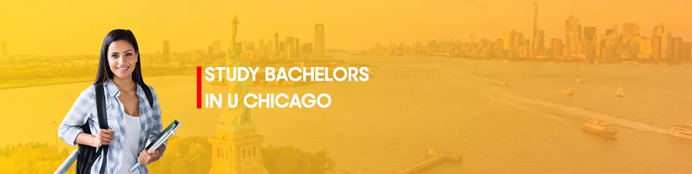 study  Bachelors in U Chicago
