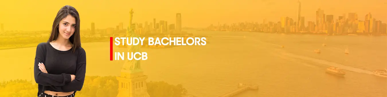 study  Bachelors in UCB