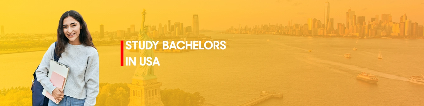 study  Bachelors in USA