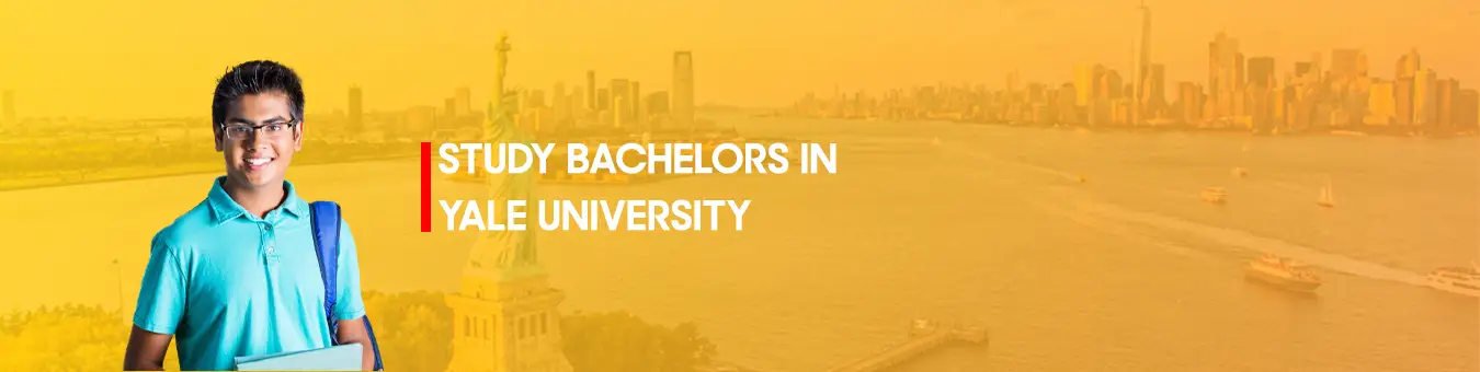 study  Bachelors in Yale University
