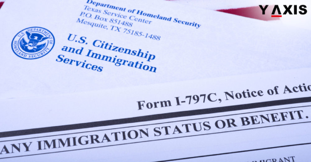 Y-Axis Immigration Services