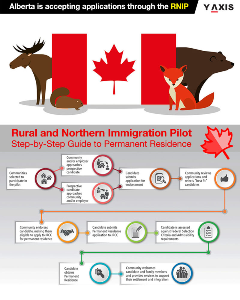 Y-Axis Immigration Services