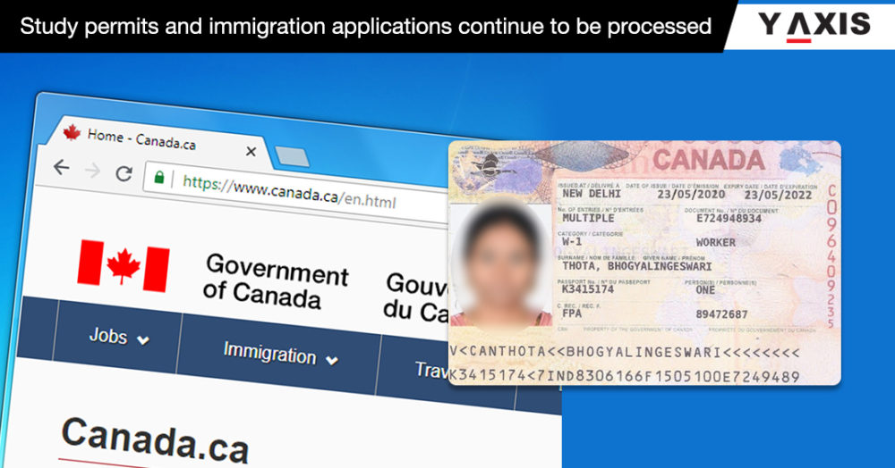 Y-Axis Immigration Services