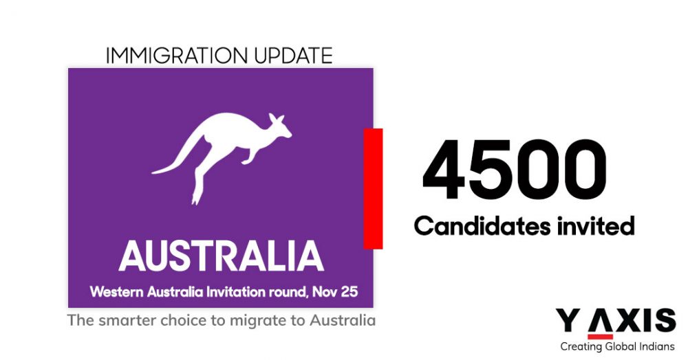 Y-Axis Immigration Services